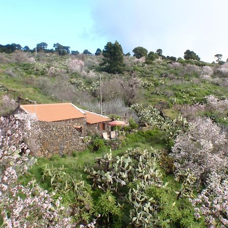 Casa Rural La Jarita El Pinar  Exteriér fotografie