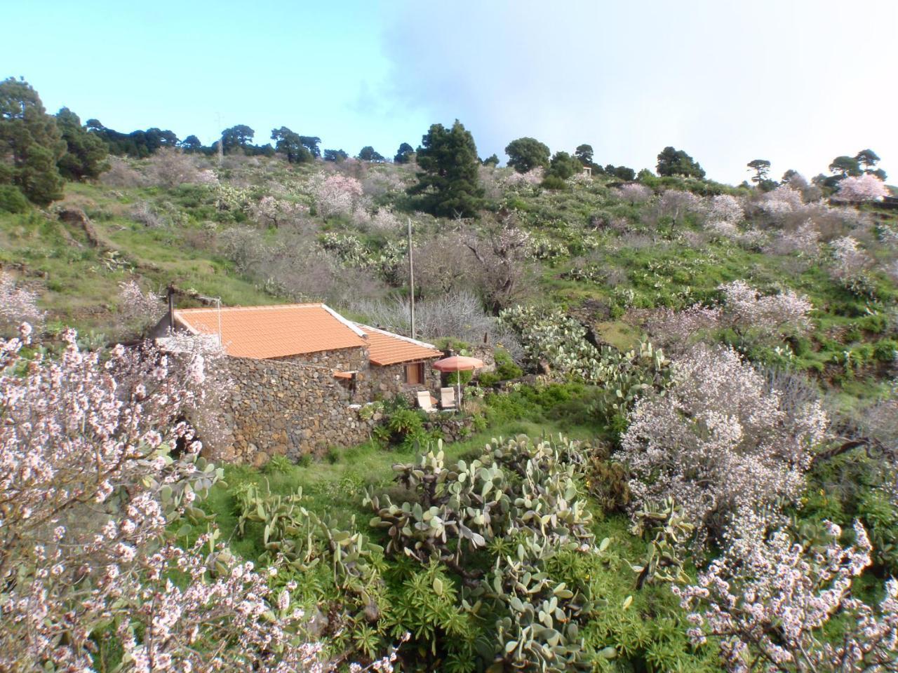Casa Rural La Jarita El Pinar  Exteriér fotografie