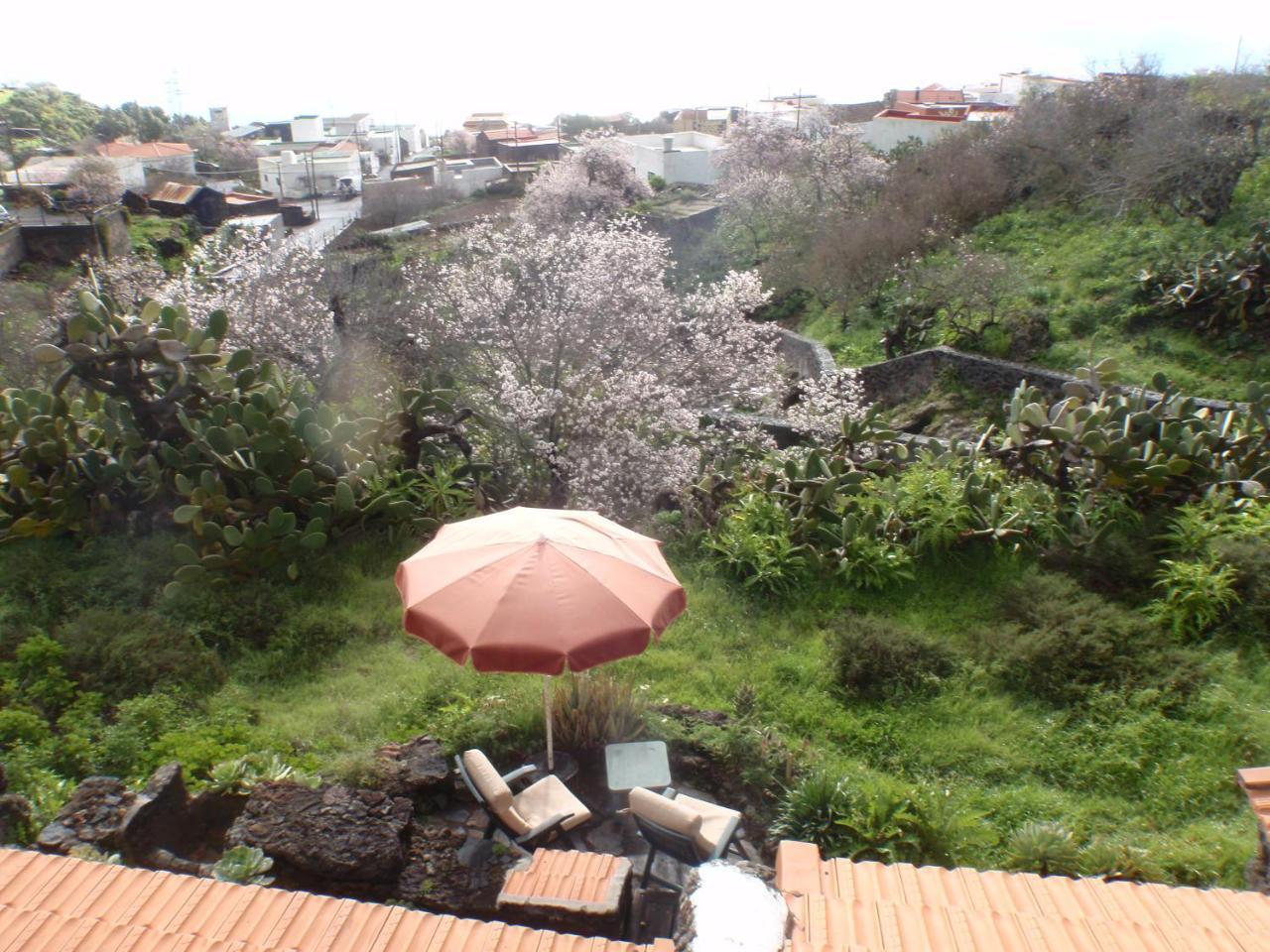 Casa Rural La Jarita El Pinar  Exteriér fotografie